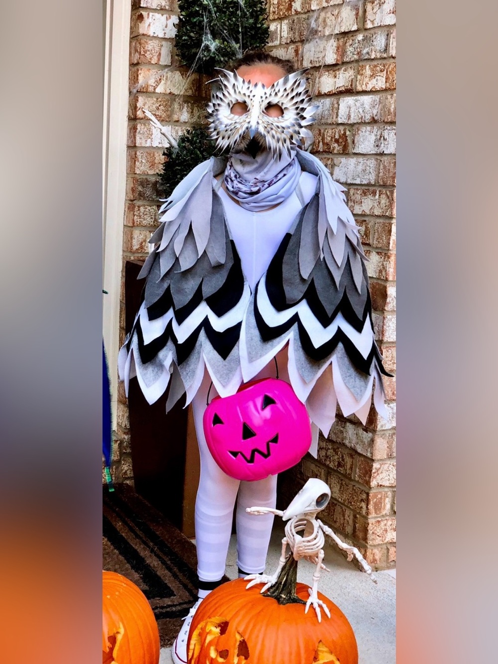 Snowy Owl Costume Cape with Feather Mask - custom made- ordered from Etsy shops